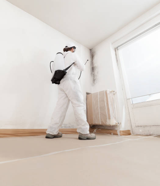 pest control3